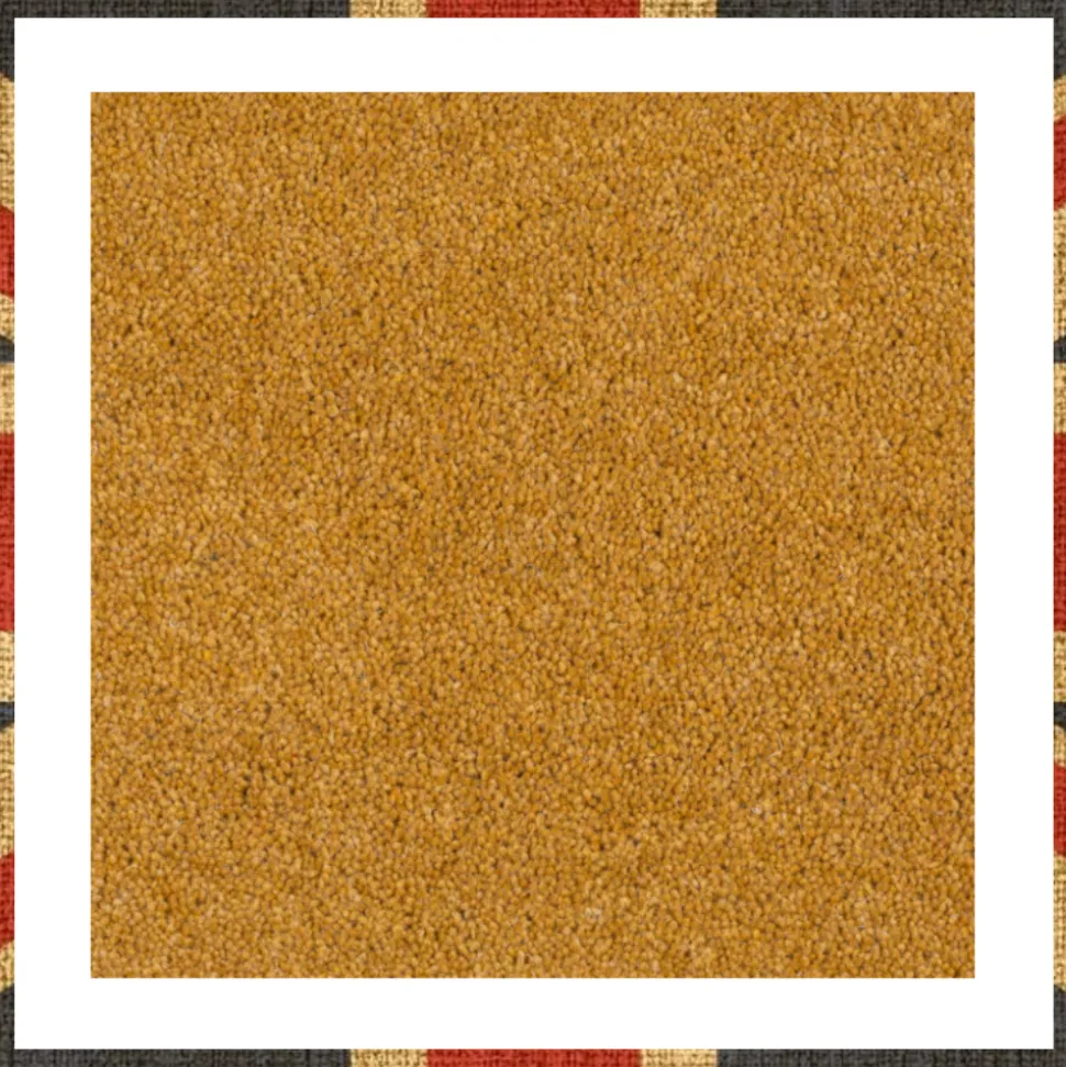 Carpet 170x240cm Gold