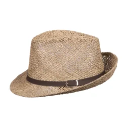 Hat Trilby