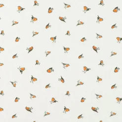 Shirt Robin - roodborst